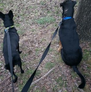 Meet your Posher, Julianna